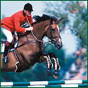 Robert Smith showjumping